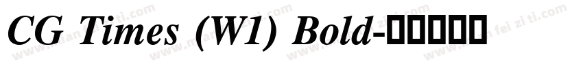 CG Times (W1) Bold字体转换